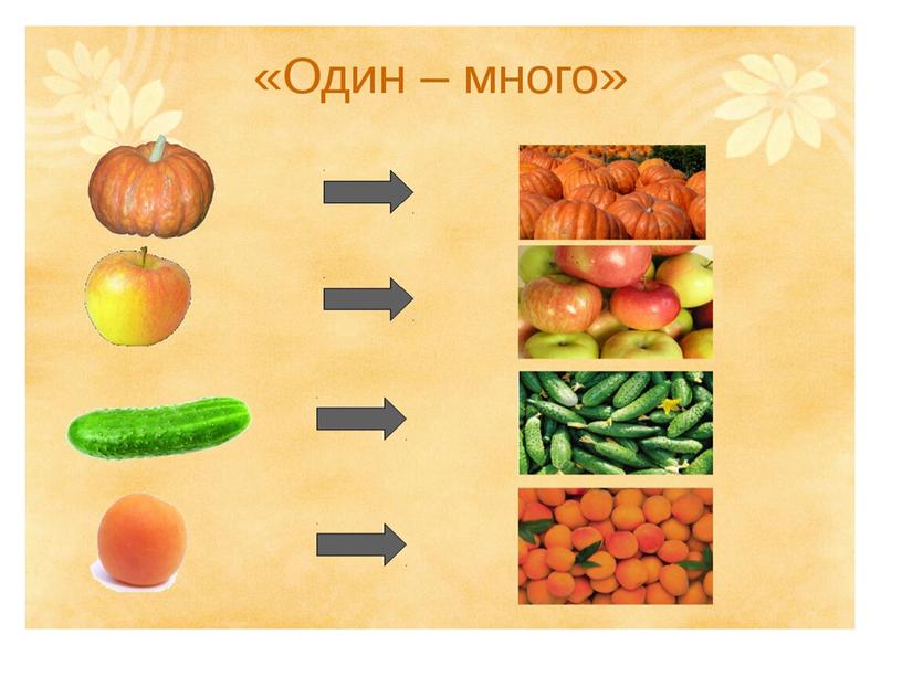 Презентация по математике для 1 класса "Один-много"