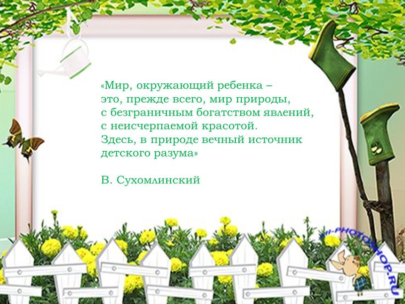 Мир, окружающий ребенка – это, прежде всего, мир природы, с безграничным богатством явлений, с неисчерпаемой красотой