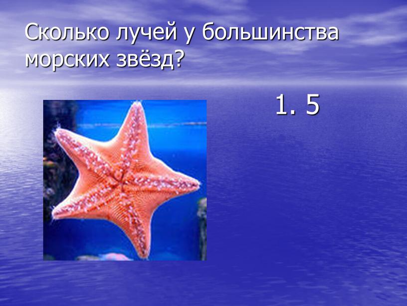 Сколько лучей у большинства морских звёзд? 1