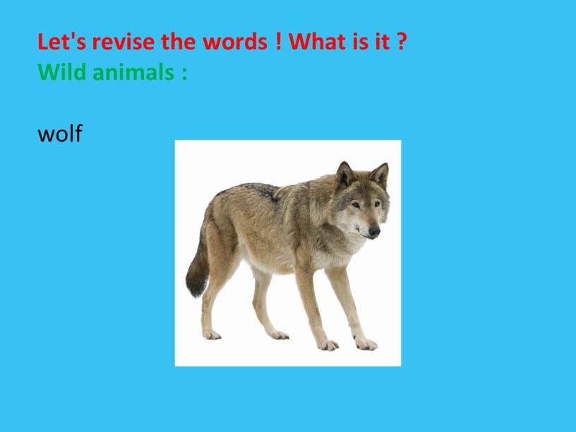 Let's revise the words ! What is it ?