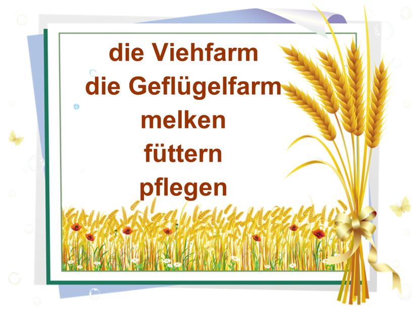 Viehfarm die Geflügelfarm melken füttern pflegen