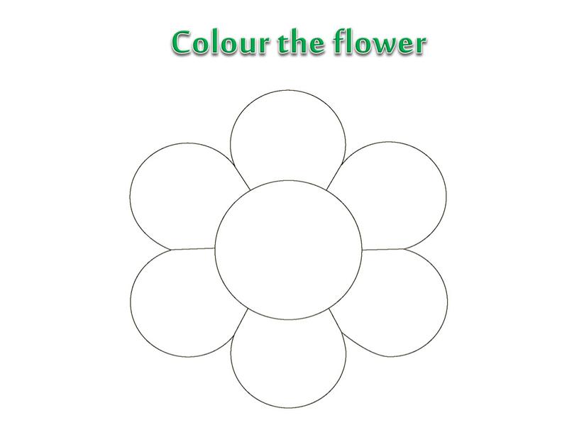 Colour the flower