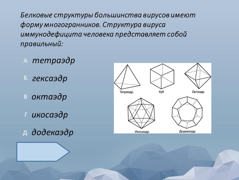 Белковые структуры большинства вирусов имеют форму многогранников