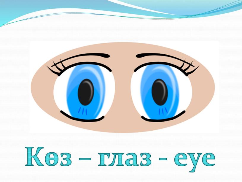 Көз – глаз - eye