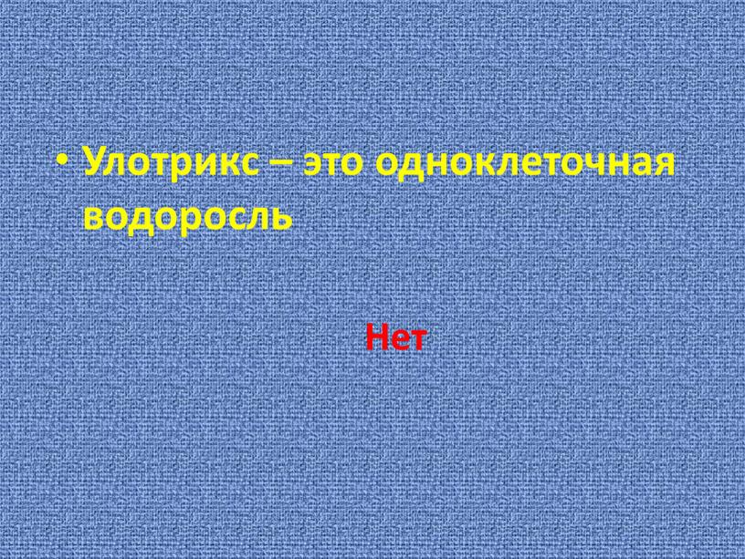 Улотрикс – это одноклеточная водоросль