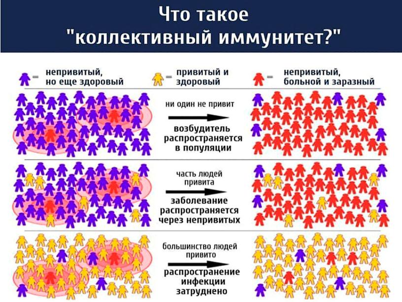 Презентация "Инфекционные заболевания"