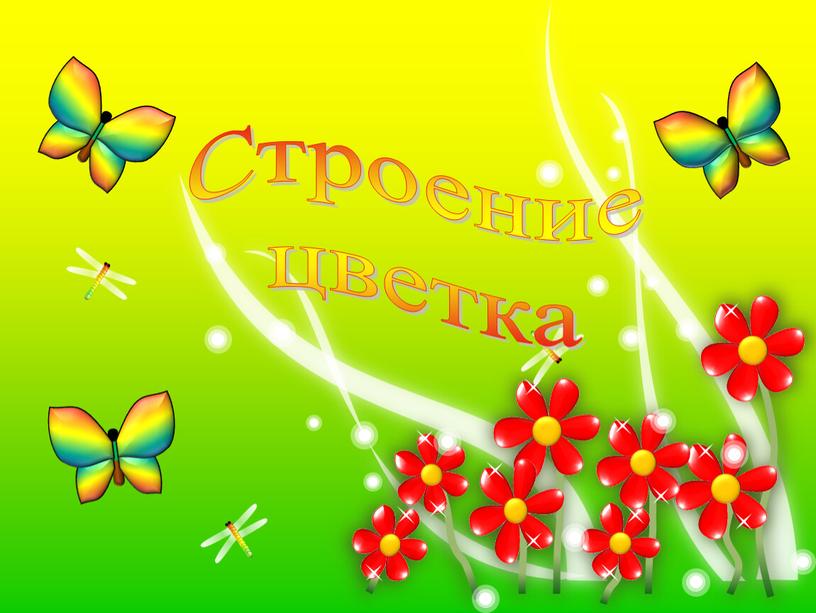 Строение цветка