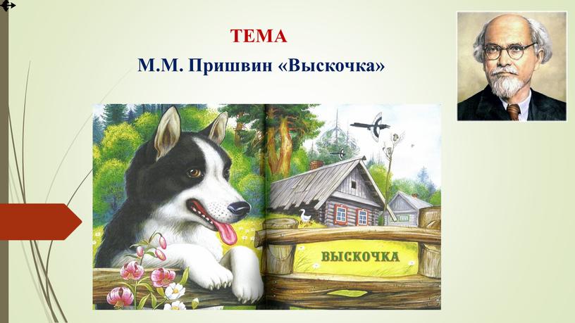 ТЕМА М.М. Пришвин «Выскочка»