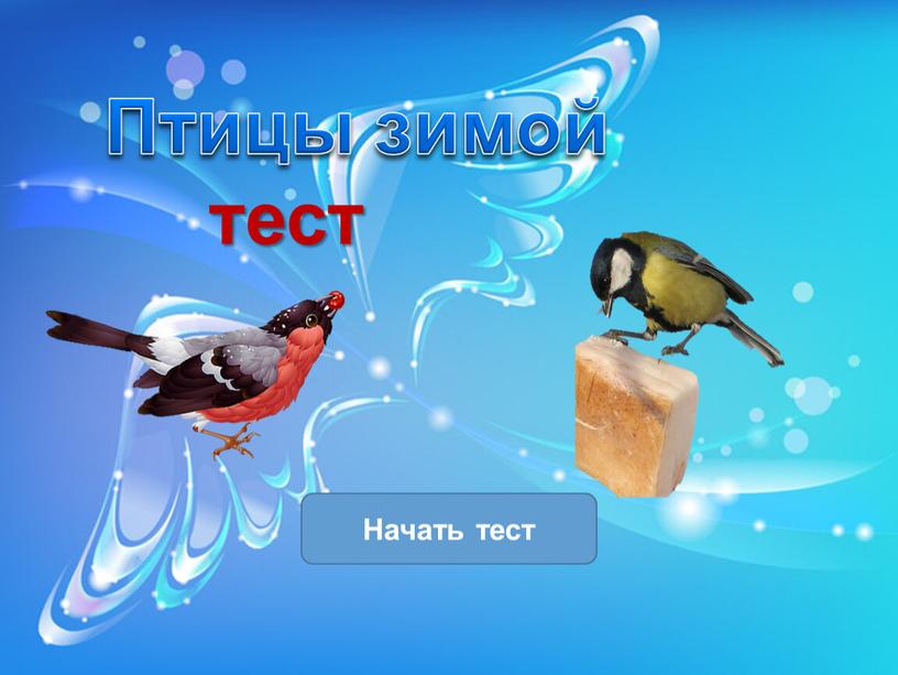 тест Начать тест Птицы зимой