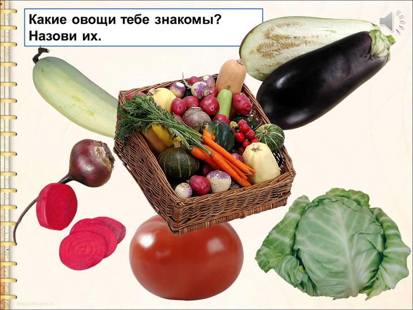 Какие овощи тебе знакомы? Назови их
