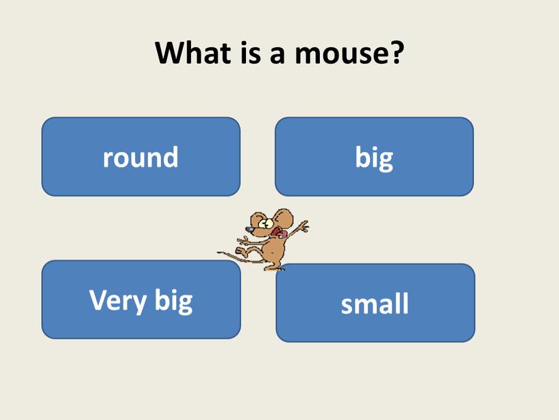 What is a mouse? round big Very big small