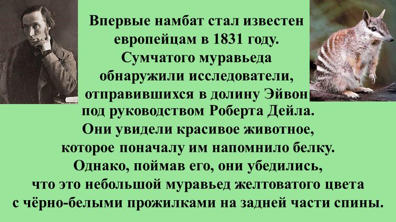 Роберта Дейла. Они увидели красивое животное, которое поначалу им напомнило белку