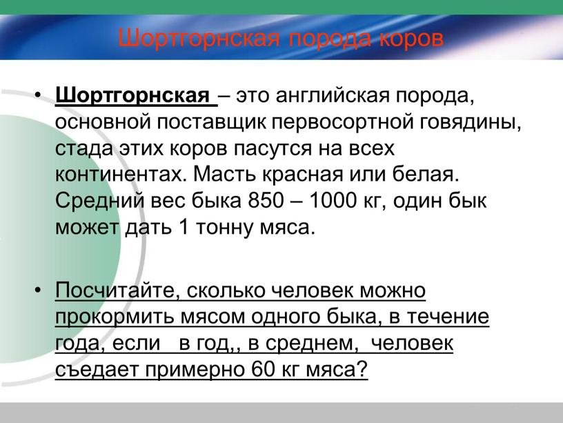 Шортгорнская порода коров Шортгорнская – это английская порода, основной поставщик первосортной говядины, стада этих коров пасутся на всех континентах