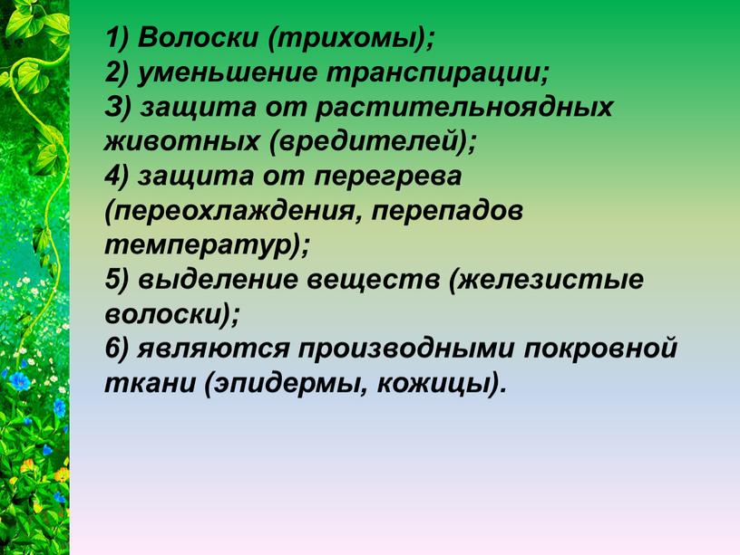 Волоски (трихомы); 2) уменьшение транспирации;