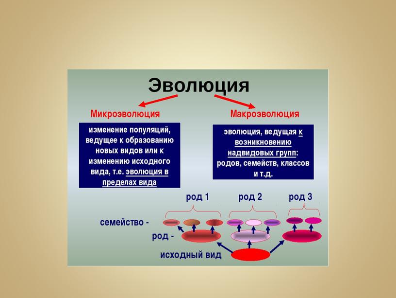 Презентация"Микроэволюция"