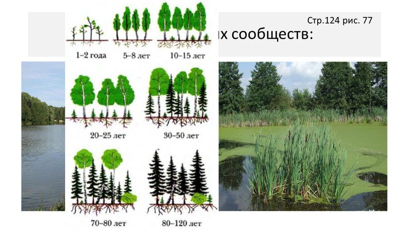 Если поменяются экологические условия, что произойдёт?