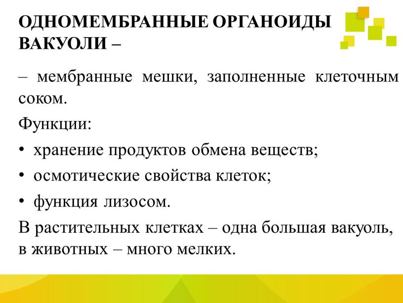 ОДНОМЕМБРАННЫЕ ОРГАНОИДЫ ВАКУОЛИ – – мембранные мешки, заполненные клеточным соком