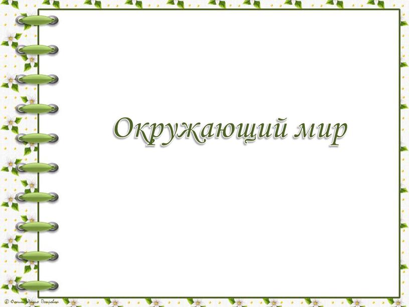 Окружающий мир