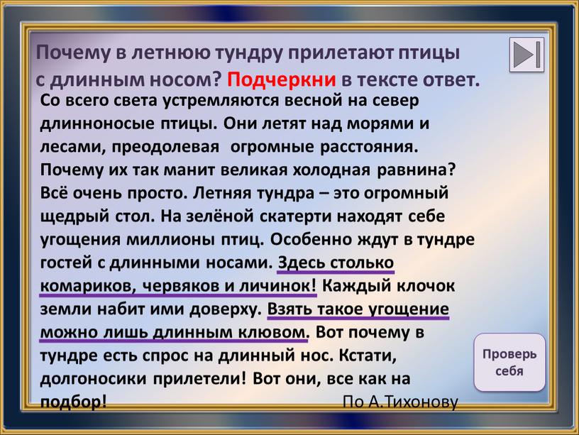 Почему в летнюю тундру прилетают птицы с длинным носом?