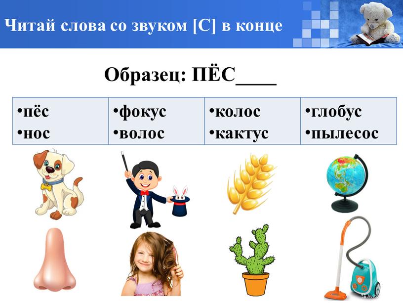 Читай слова со звуком [С] в конце пёс нос фокус волос колос кактус глобус пылесос