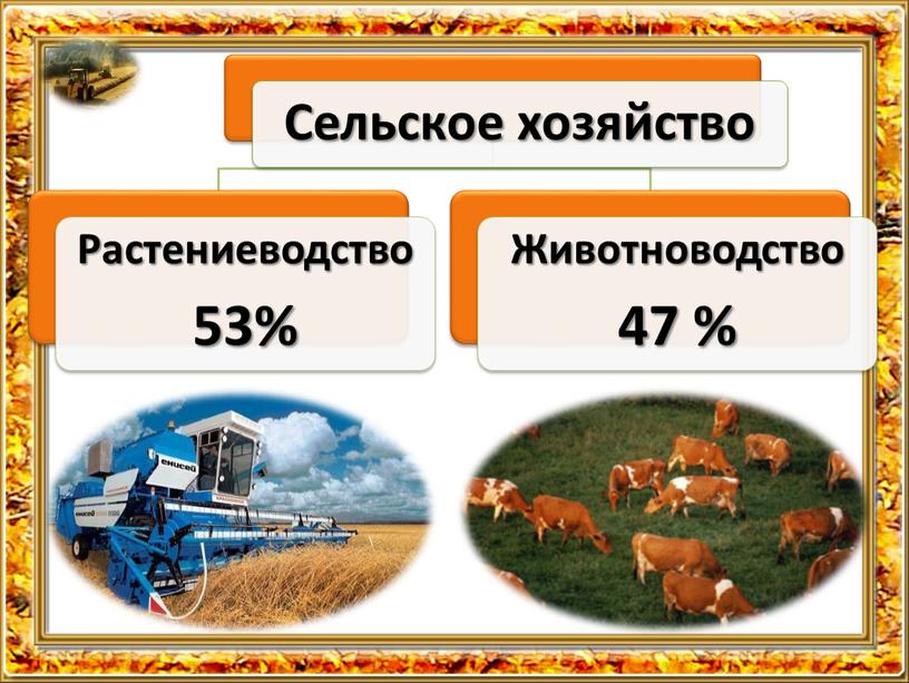 Презентация на тему "Растениеводство Казахстана"