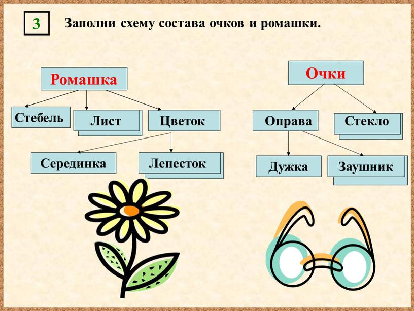 Очки Оправа Дужка Лист Стекло Ромашка