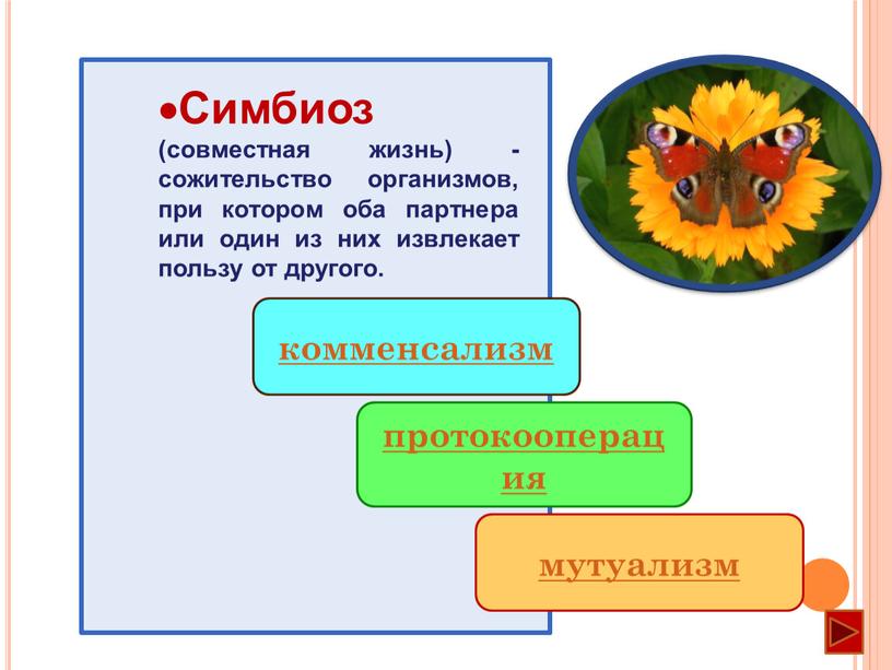 Симбиоз (совместная жизнь) - сожительство организмов, при котором оба партнера или один из них извлекает пользу от другого