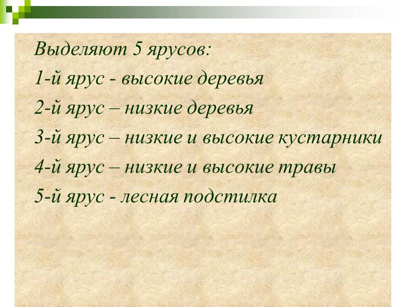 Выделяют 5 ярусов: 1-й ярус - высокие деревья 2-й ярус – низкие деревья 3-й ярус – низкие и высокие кустарники 4-й ярус – низкие и…