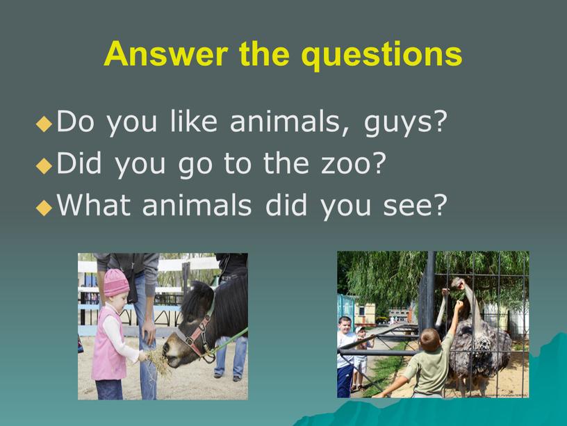 Answer the questions Do you like animals, guys?