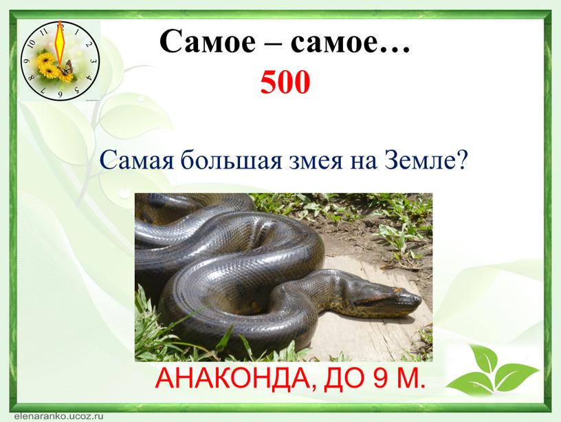 Какая нить в природе самая тонкая. Смотреть фото Какая нить в природе самая тонкая. Смотреть картинку Какая нить в природе самая тонкая. Картинка про Какая нить в природе самая тонкая. Фото Какая нить в природе самая тонкая