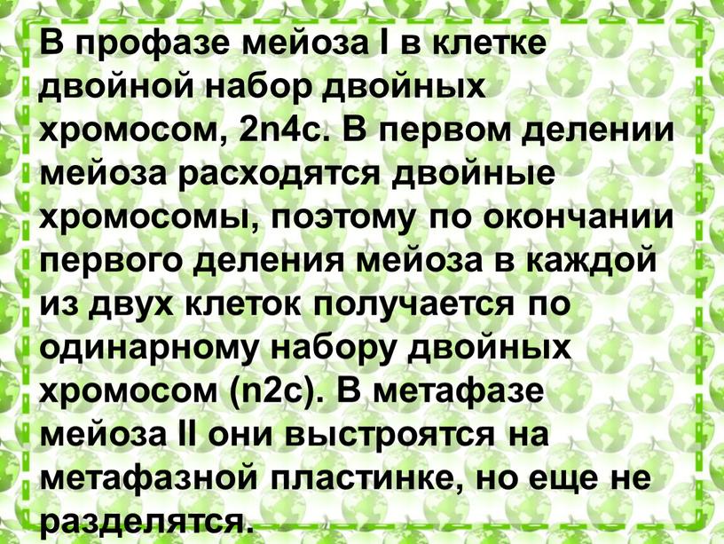 В профазе мейоза I в клетке двойной набор двойных хромосом, 2n4c