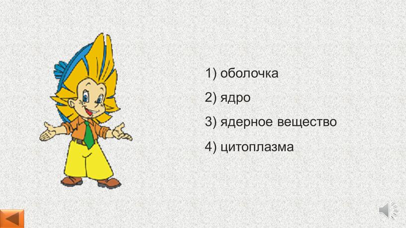 4) цитоплазма 1) оболочка 2) ядро 3) ядерное вещество