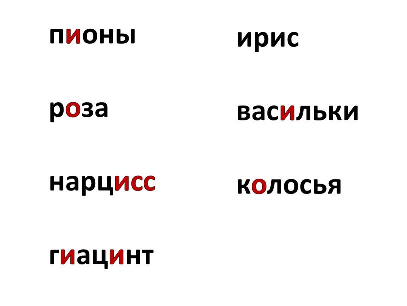 пионы роза нарцисс гиацинт ирис васильки колосья