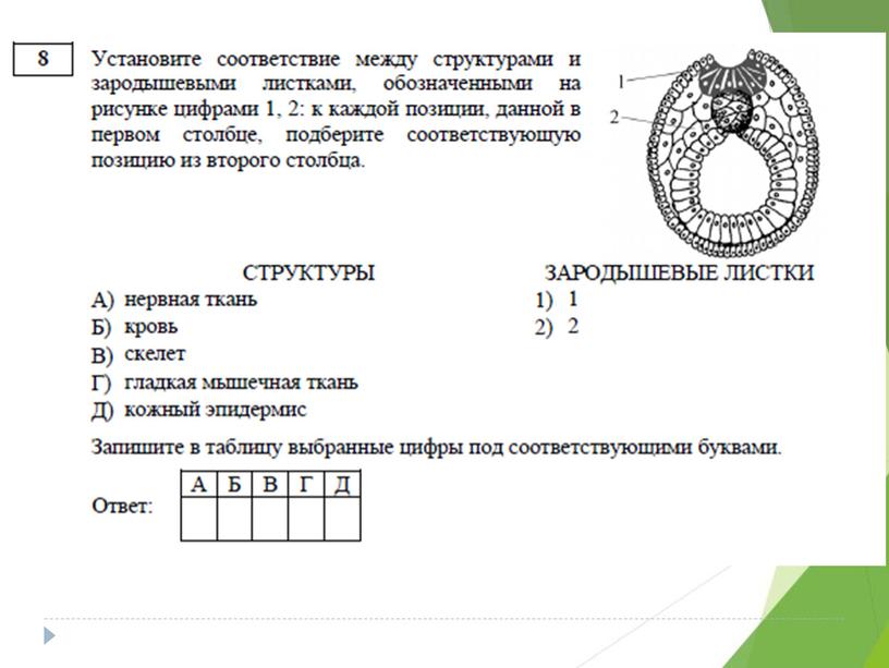 Разбор демо-версии ЕГЭ по биологии