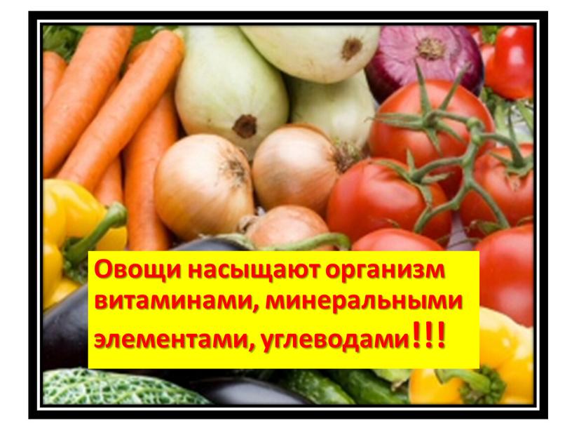 Овощи насыщают организм витаминами, минеральными элементами, углеводами!!!