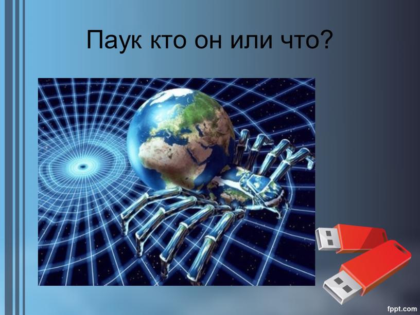 Паук кто он или что?