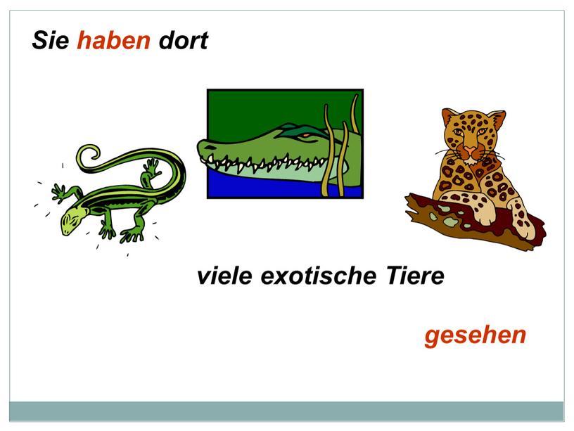 Sie haben dort gesehen viele exotische