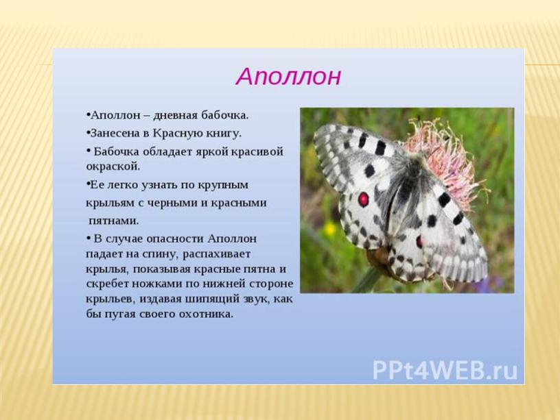 Презентация "Охрана животных Рязанской области"