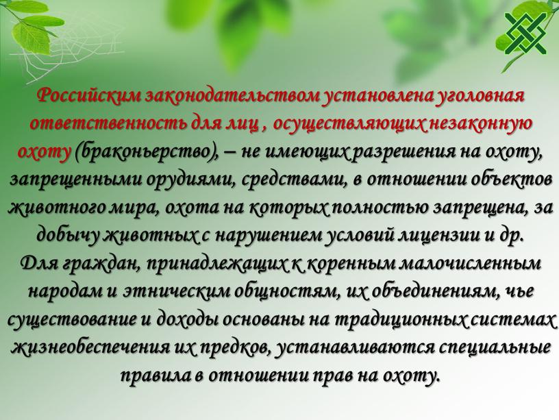 Российским законодательством установлена уголовная ответственность для лиц , осуществляющих незаконную охоту (браконьерство), – не имеющих разрешения на охоту, запрещенными орудиями, средствами, в отношении объектов животного…