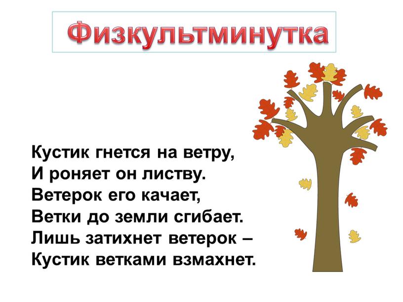 Физкультминутка Кустик гнется на ветру,