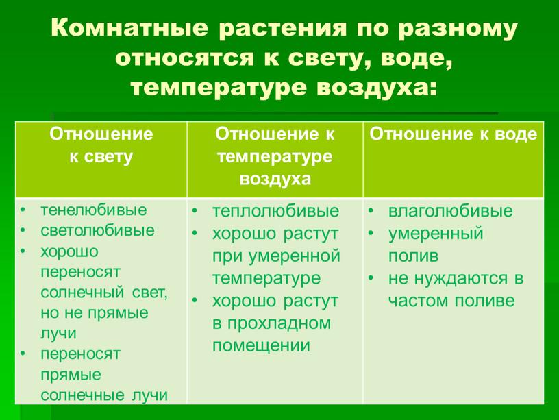 Комнатные растения по разному относятся к свету, воде, температуре воздуха: