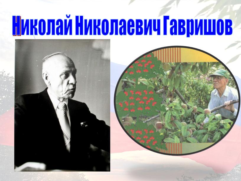 Николай Николаевич Гавришов