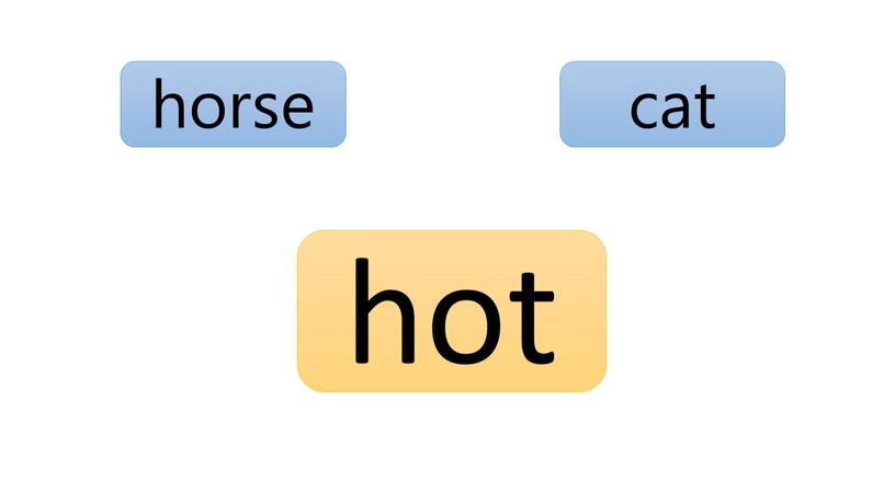 cat horse hot