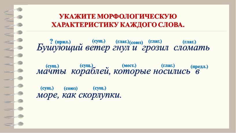 Бушующий ветер гнул и грозил сломать мачты кораблей, которые носились в море, как скорлупки