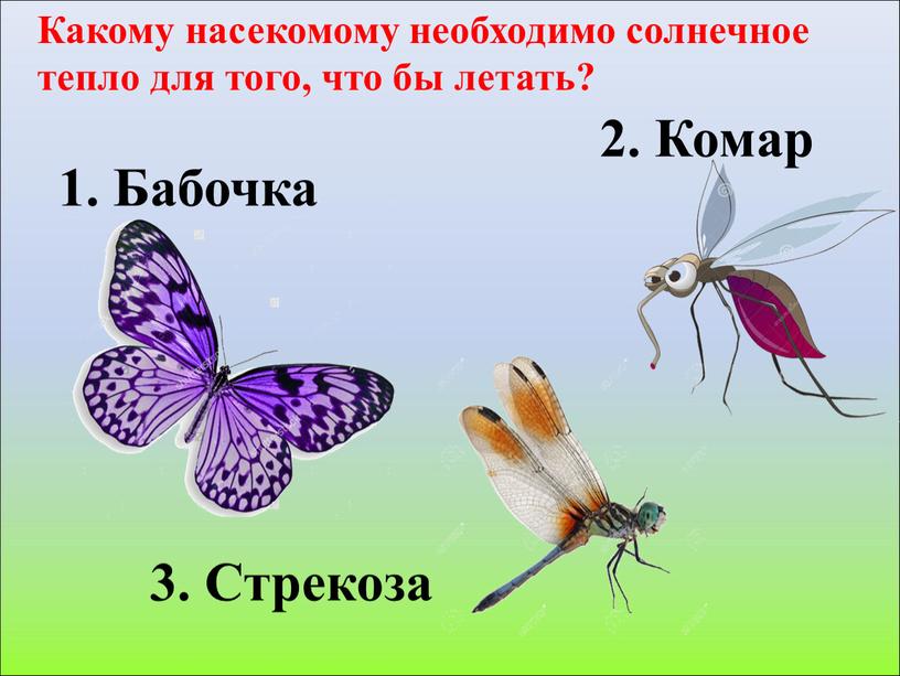 Какому насекомому необходимо солнечное тепло для того, что бы летать? 3