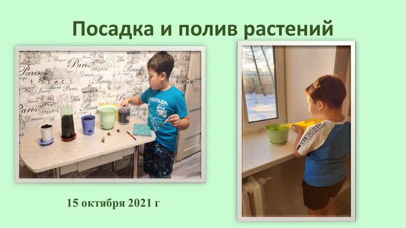 Посадка и полив растений 15 октября 2021 г