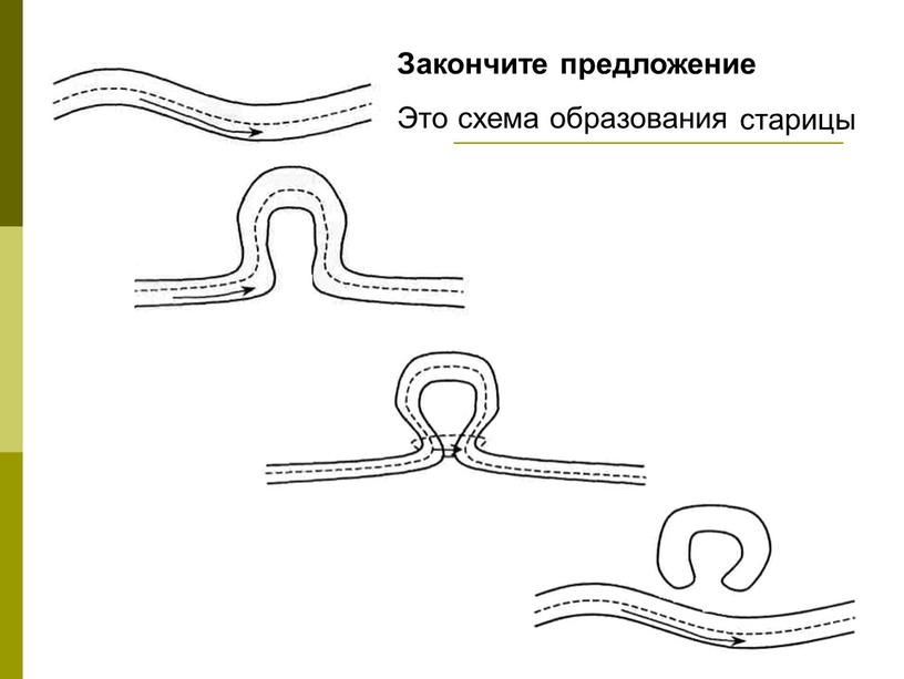 Закончите предложение Это схема образования … старицы