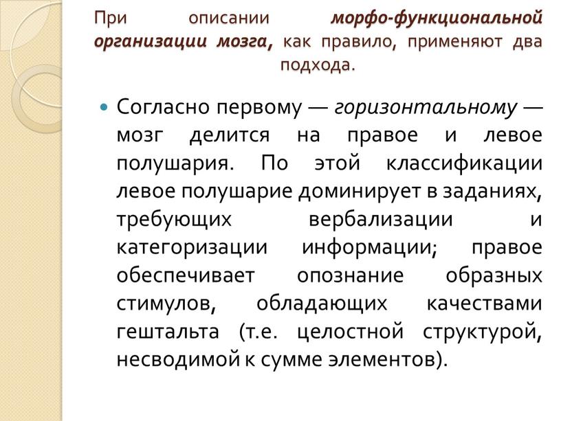 При описании морфо-функциональной организации мозга, как правило, применяют два подхода