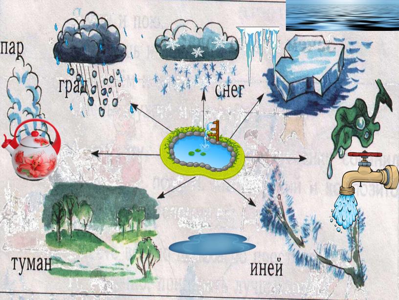 Урок по окружающему миру "Вода - основа жизни" (4 класс) и презентация к уроку