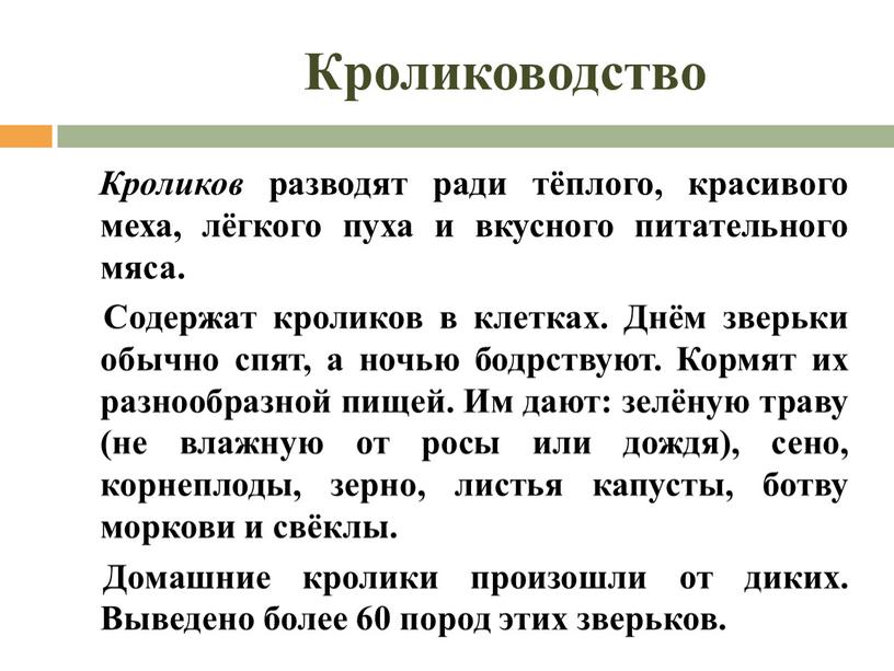 Кролиководство Кроликов разводят ради тёплого, красивого меха, лёгкого пуха и вкусного питательного мяса